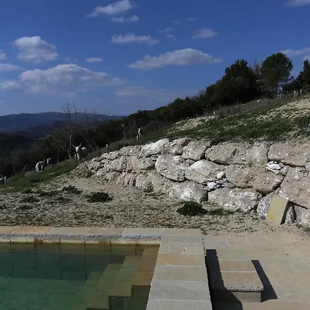 Di Gello