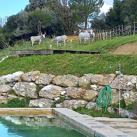 Country house Di Gello