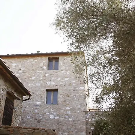 Di Gello *